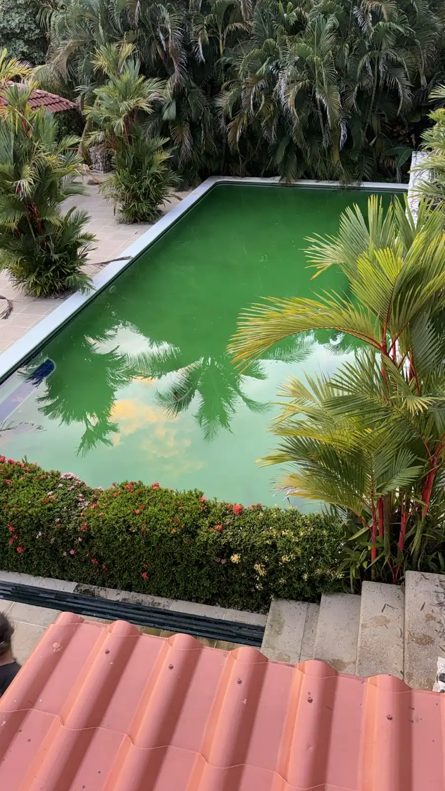 Piscina antes del mantenimiento